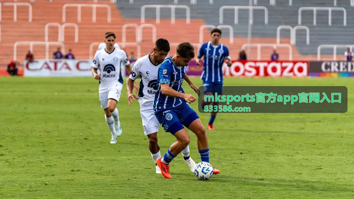 mksports官方app官网入口识别与核对示意封面